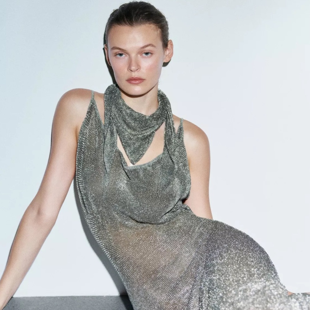 ZARA METALLIC THREAD MESH DRESS LIMITED EDITION - Picture 11 of 12